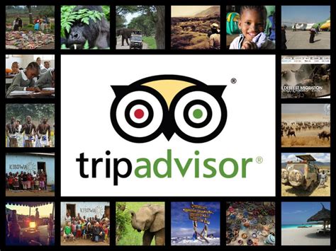 tripadvisor african safari reviews
